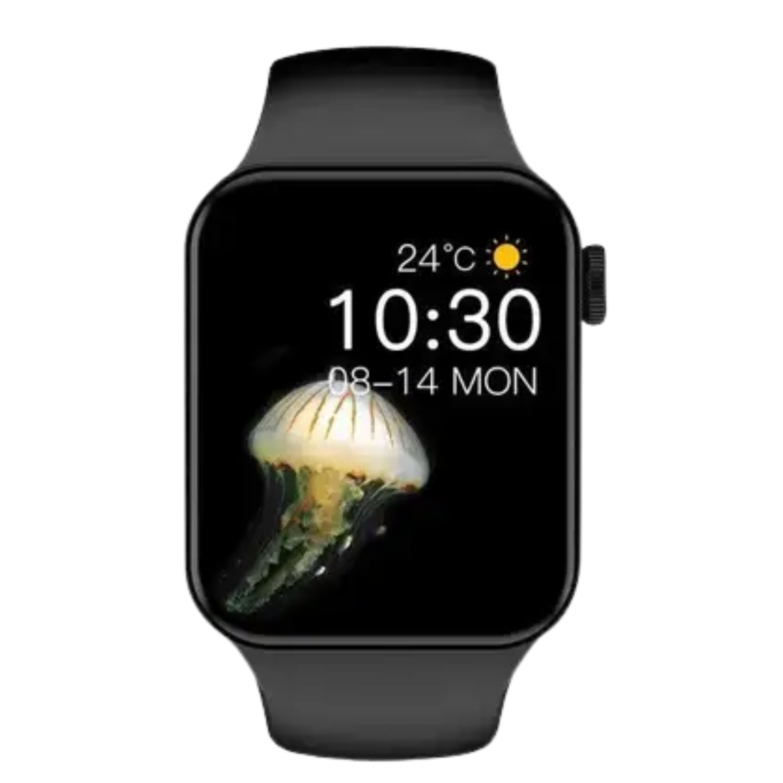 T100 Plus Smart Watch